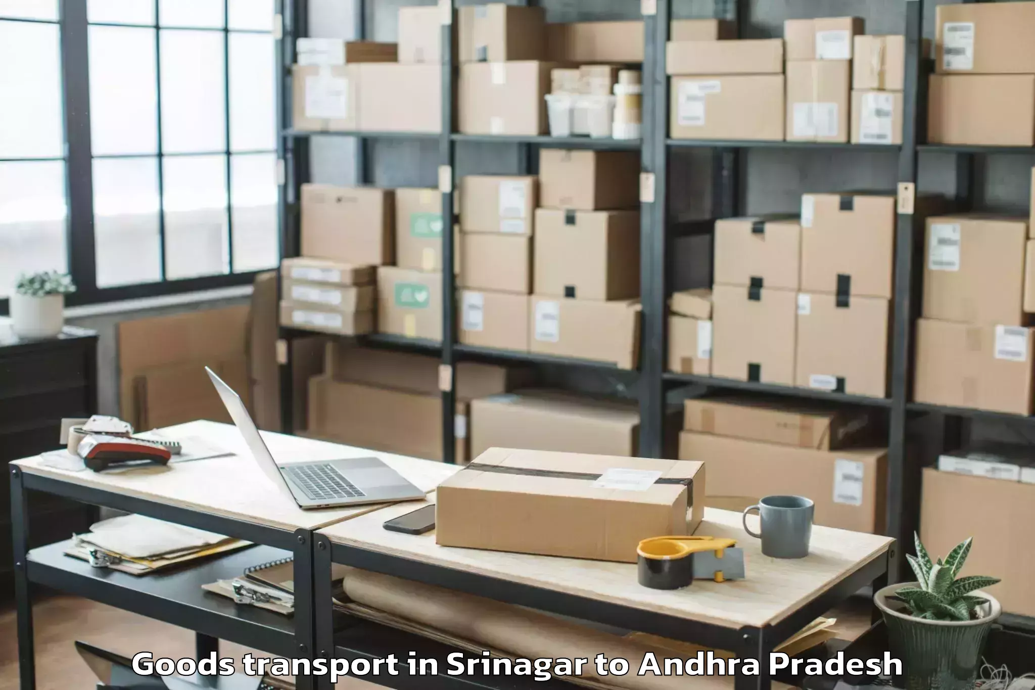 Expert Srinagar to Anaparthy Goods Transport